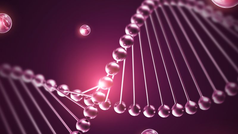 实验室耗材材质选择：揭秘背后的科学逻辑