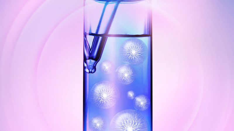 以下是一些上海知名生物试剂公司的地址信息，供您参考：