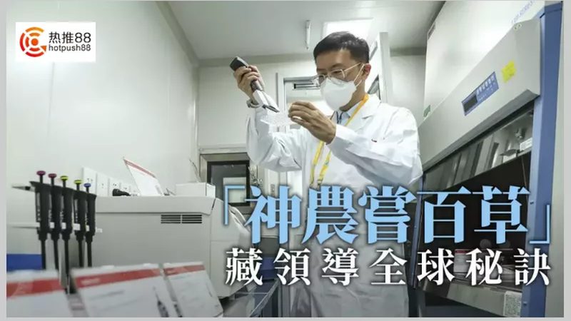 基因检测定制化服务：材质分类与选择指南