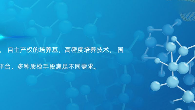 揭秘ELISA试剂盒：常见型号的奥秘与区别