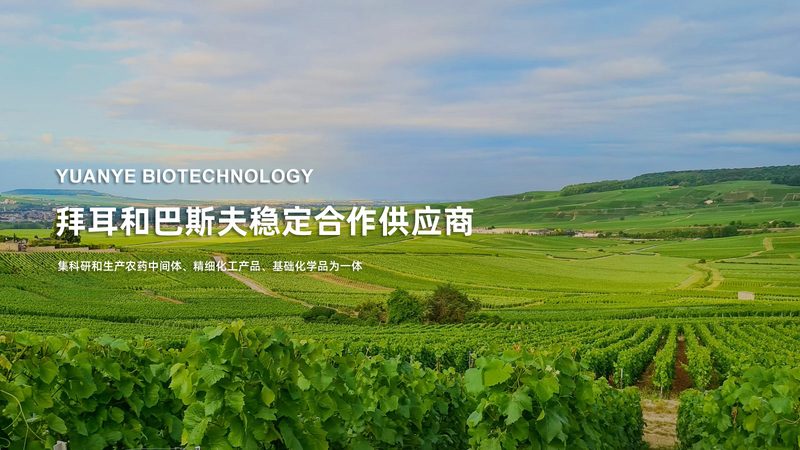 实验室耗材加工规范标准：解读与遵循