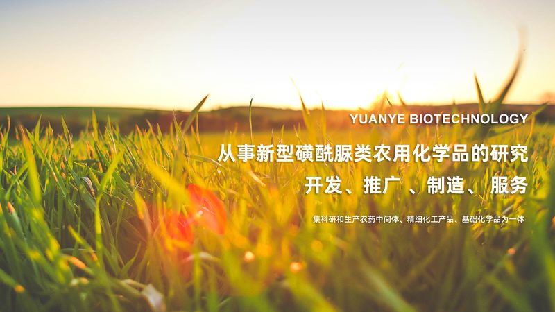 单道移液器：价格之外，你还需要了解这些**