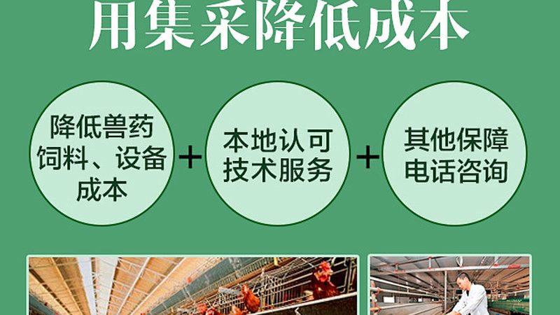 抗体亲和力检测：实验步骤解析与关键要点