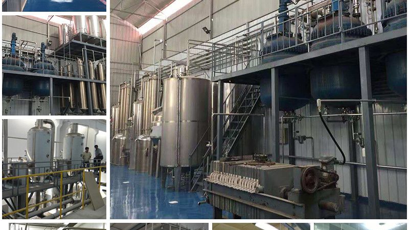 上海CDMO生产厂家：揭秘医药研发背后的关键力量